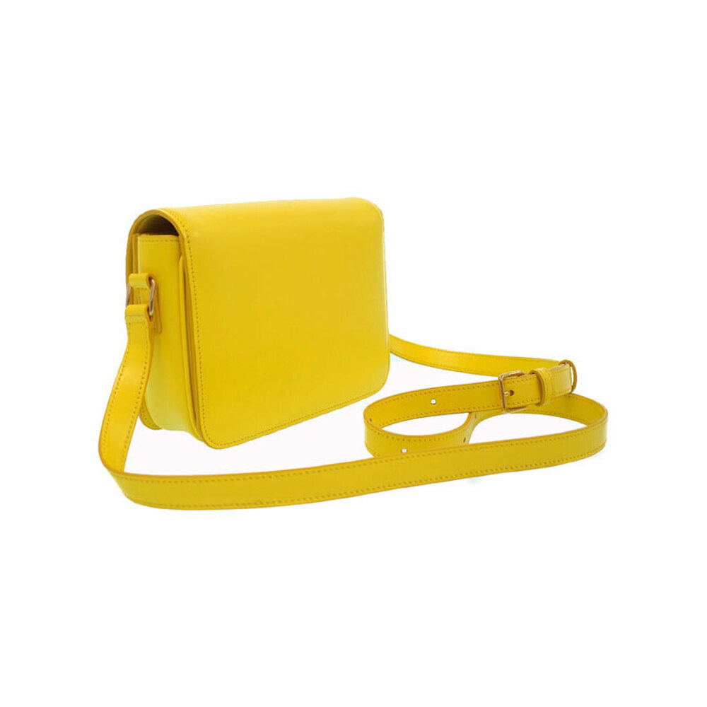 Celine Shoulder Bag Teen Triomphe Bag